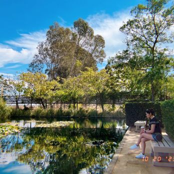 Cornerstone Sonoma - The pond! - Venues & Event Spaces Near Me - Sonoma, California Cornerstone Sonoma - The pond! - Venues & Event Spaces Near Me - Sonoma, California
