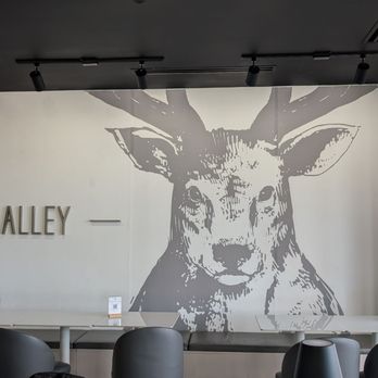 The Alley - The Alley - Bubble Tea Near Me - Arlington, Texas The Alley - The Alley - Bubble Tea Near Me - Arlington, Texas