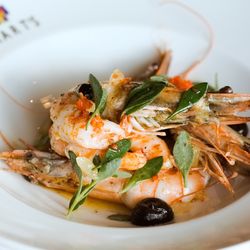 Hart's Kitchen - Atlantic shrimps
