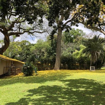 Foster Botanical Garden - Botanical Gardens Near Me - Honolulu, Hawaii