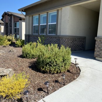 DST Landscaping and Maintenance Services - Fabulous job on the front yard. It was a complete mess before that. - Landscaping Near Me - Sacramento, California DST Landscaping and Maintenance Services - Fabulous job on the front yard. It was a complete mess before that. - Landscaping Near Me - Sacramento, California