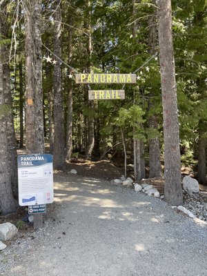 Sea to Sky Gondola by null