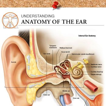 Kim Juneau Hearing - Hearing Aid Providers Near Me - Harahan, Louisiana Kim Juneau Hearing - Hearing Aid Providers Near Me - Harahan, Louisiana