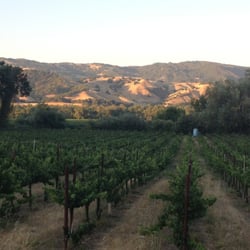 Fetzer Vineyards - Looking towards the East over the Fetzer Vineyard.