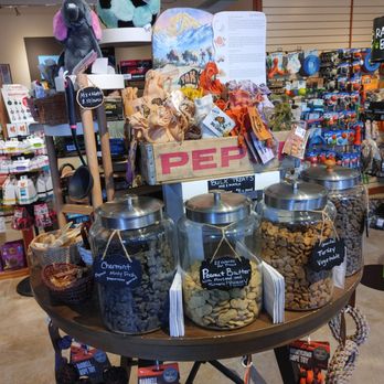 Four Paws on the Beach - Pet Stores Near Me - Manzanita, Oregon Four Paws on the Beach - Pet Stores Near Me - Manzanita, Oregon