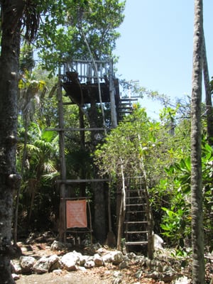 Jardín Botanico Dr. Alfredo Barrera Marín by null