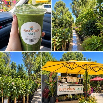 Just Vibes Cafè - Food Trucks Near Me - Chatsworth , California