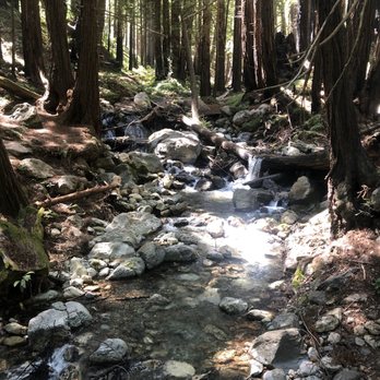 Limekiln State Park - Pretty stream - Campgrounds Near Me - Big Sur, California Limekiln State Park - Pretty stream - Campgrounds Near Me - Big Sur, California