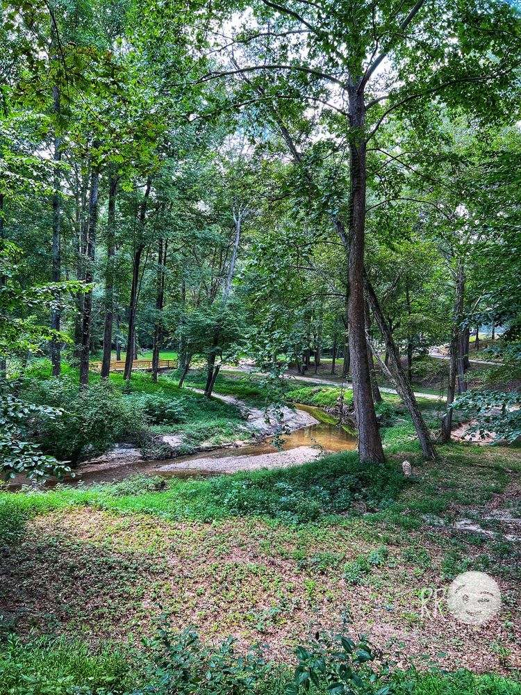 WILLIAMS MILL GREENSPACE Updated November 2024 56 Photos 6166