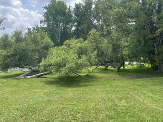 Callicoon Caffè by null