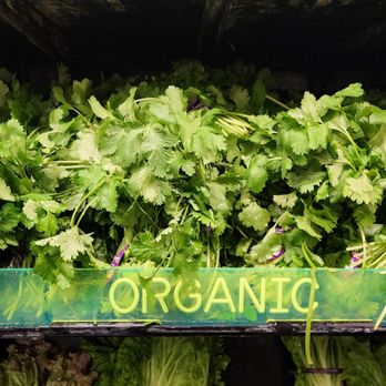 Albertsons - Big leaf organic cilantro, beautiful. - Grocery Near Me - Fullerton, California