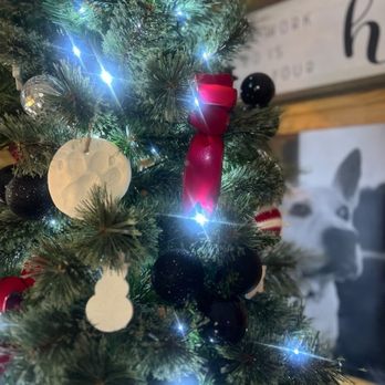 Serenity Pet Cremations & Burial - Our First Christmas without our Sweet girl but Thanks to Serenity we had a beautiful momentum to hang on our tree. - Pet Cremation Services Near Me - Trinity, North Carolina