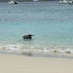Caneel Bay Beach Club