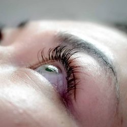 Dis Lash Boutique