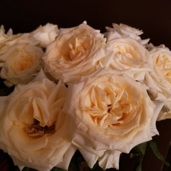 Costco - Roses fully opened - Wholesalers Near Me - Davie, Florida Costco - Roses fully opened - Wholesalers Near Me - Davie, Florida