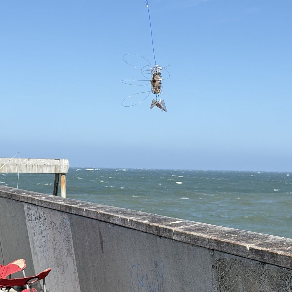 Pacifica Pier - Crab anglers - Beaches Near Me - Pacifica, California Pacifica Pier - Crab anglers - Beaches Near Me - Pacifica, California