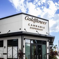 Goldflower cannabis dispensary - Saint Petersburg, FL. Near Fort De Soto. Located in Grand Central District in downtown.