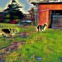 Photo of Floyd's Good Dog Kennels