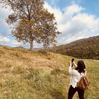 Il torrente Tasso - Walking Tours Near Me - Pazzon, VR