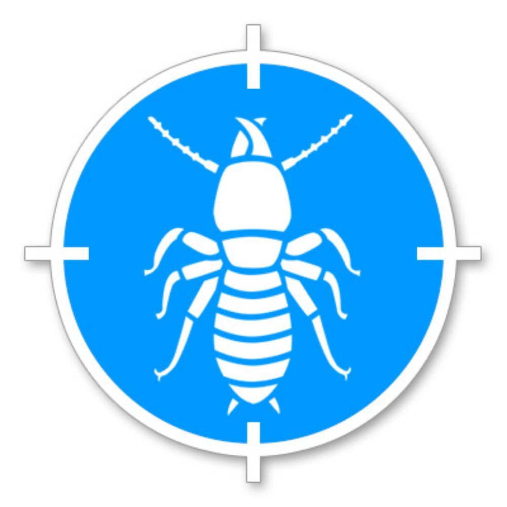 IPSWICH TERMITES Updated May 2024 Ipswich Queensland, Australia