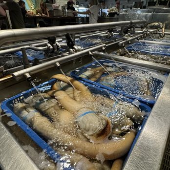 Taylor Shellfish Farms - Seafood Near Me - Seattle, Washington