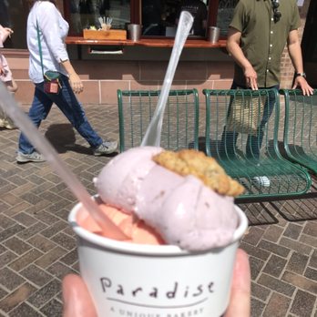 Paradise Bakery - Bakeries Near Me - Aspen, Colorado Paradise Bakery - Bakeries Near Me - Aspen, Colorado
