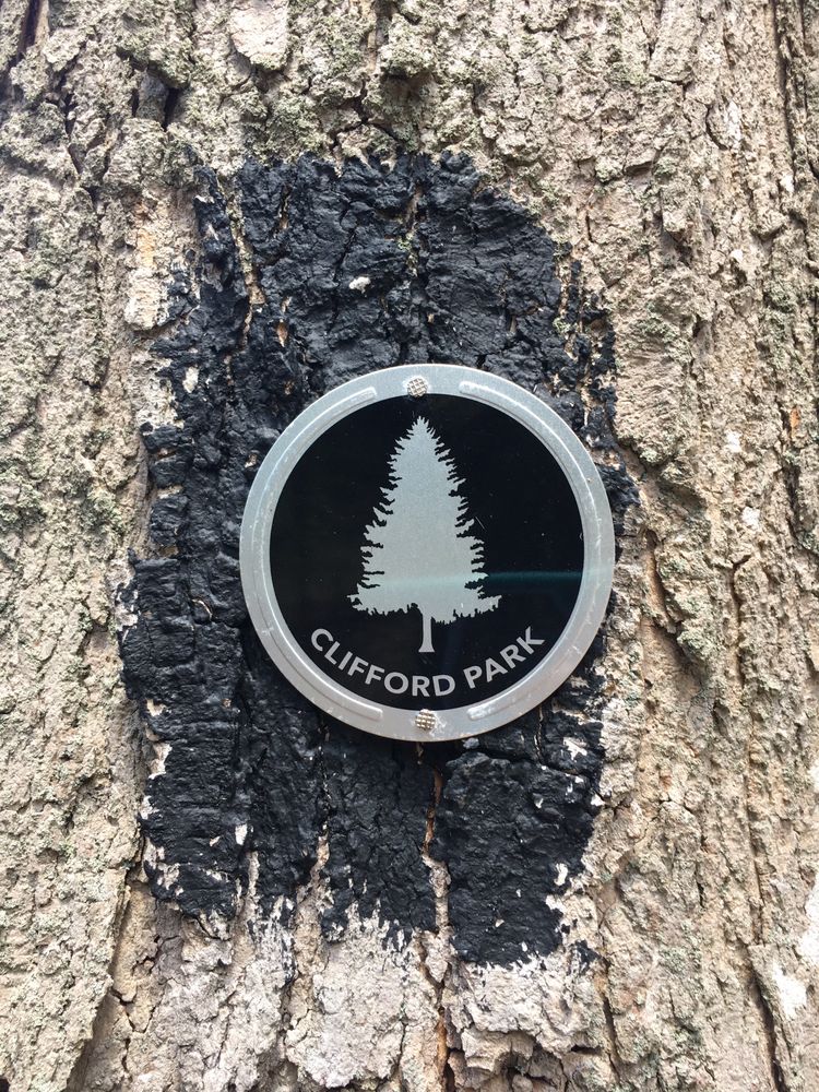 CLIFFORD PARK 23 Photos 135 Pool St, Biddeford, Maine Hiking Yelp