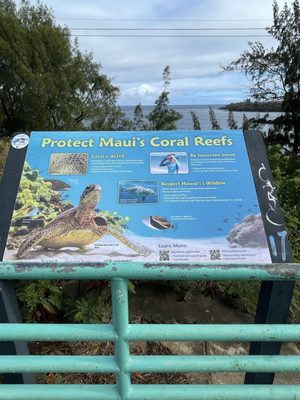 Slaughterhouse Beach by null