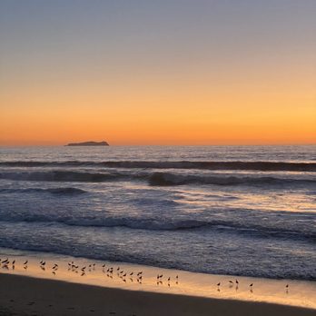 Malecon de Playas - Birds getting their dinner before it gets dark - Parks Near Me - Tijuana, BCN Malecon de Playas - Birds getting their dinner before it gets dark - Parks Near Me - Tijuana, BCN