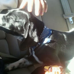 After his grooming After his grooming