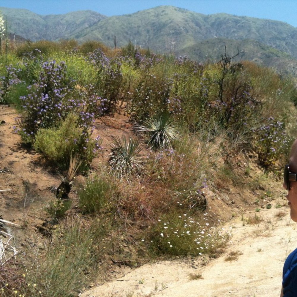 Millard Canyon - Parks Near Me - Altadena, California Millard Canyon - Parks Near Me - Altadena, California