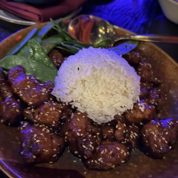 The Blue Dragon - Pan Asian Near Me - Orlando, Florida The Blue Dragon - Pan Asian Near Me - Orlando, Florida
