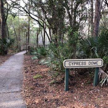 Lettuce Lake Park - The short path that leads to the Cypress Dome - Parks Near Me - Tampa, Florida