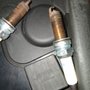 Photo of Auto Heads