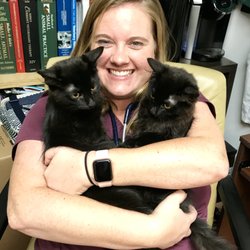 Courtenay Animal Hospital - Dr. Lauren Kennedy