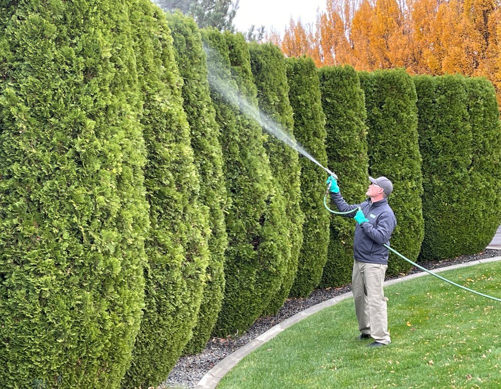 Senske Services - tree service in Boise, ID