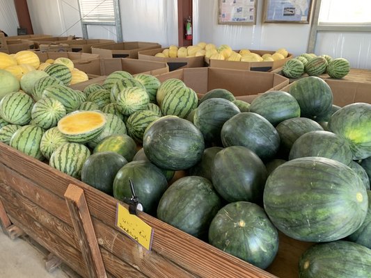 Del Bosque Farms by null