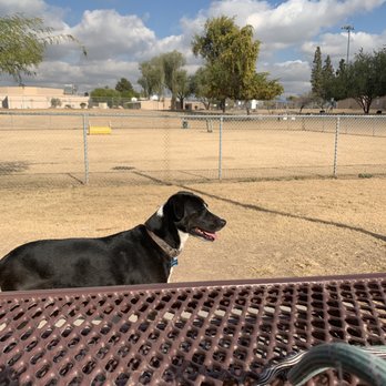 Shawnee Park - Dog Parks Near Me - Chandler, Arizona