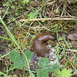 Willapa National Wildlife Refuge