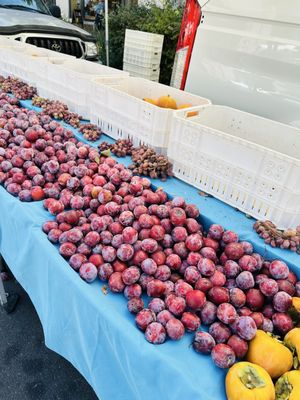 Santa Barbara Farmers Market // Saturday by null