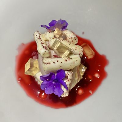 Hotel Copernicus by null