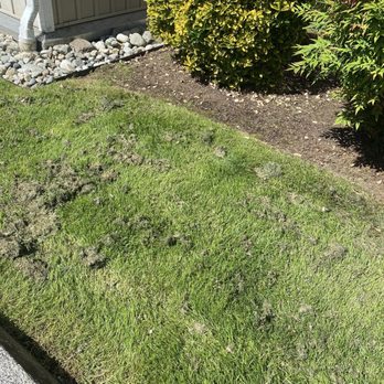 HOA Advisory Group - More of what the landscaper left behind - Homeowner Association Near Me HOA Advisory Group - More of what the landscaper left behind - Homeowner Association Near Me