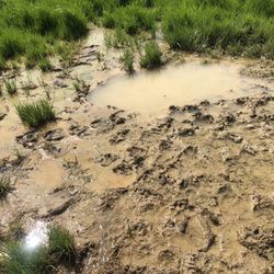 Affordable Plumbing And Construction