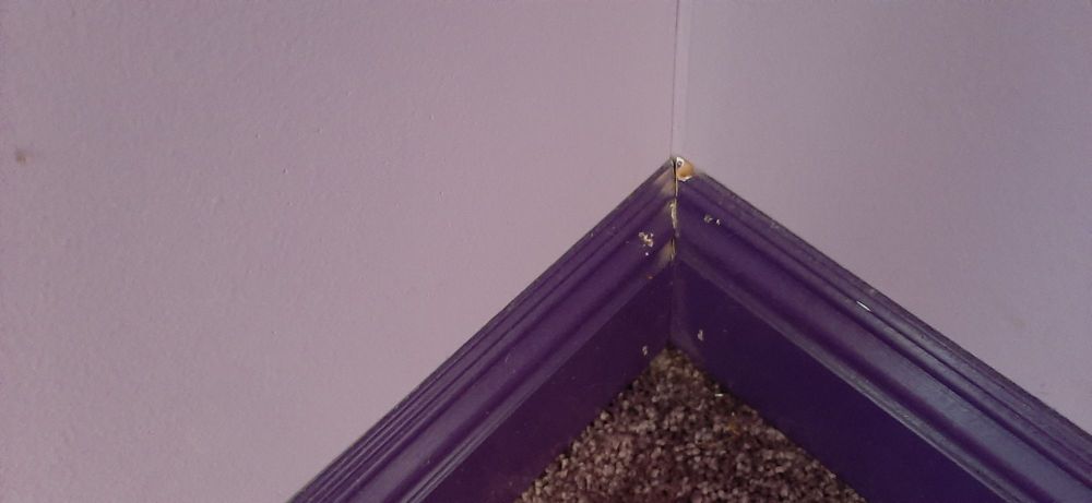 Slide of Ducks Roofing & Construction