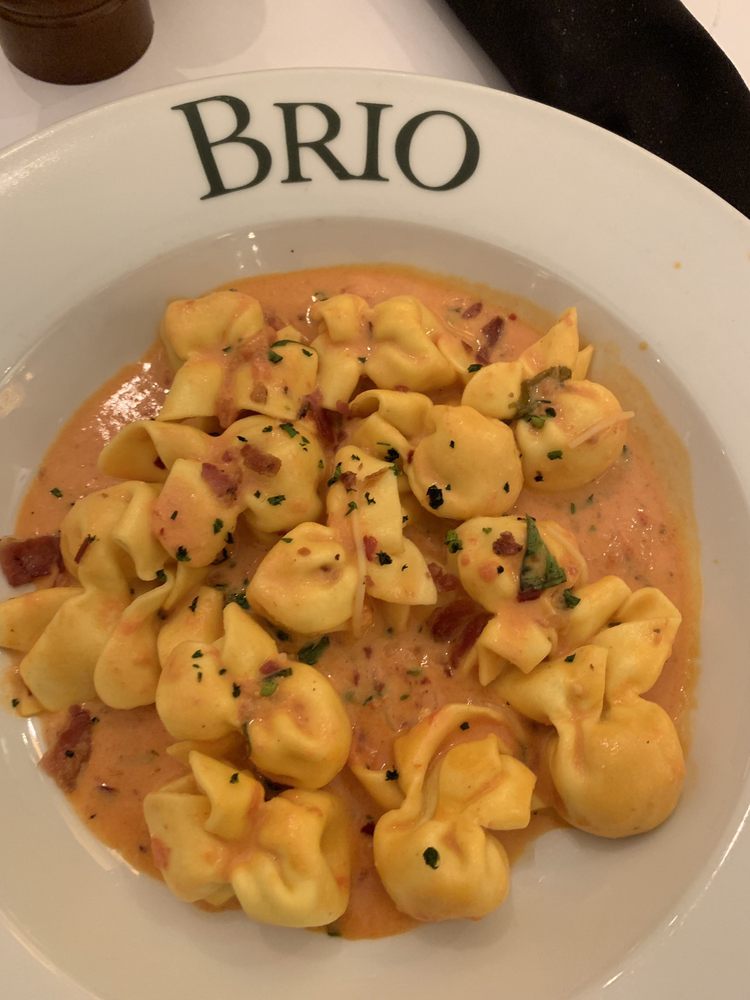 Easy Homemade Pasta alla Vodka Brio Recipe 2024 AtOnce