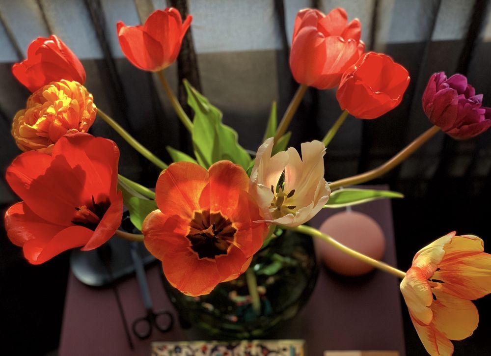 Social spots from Wicked Tulips Flower Farm