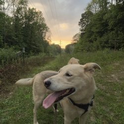 Faith Animal Care - Mochi (age 12)