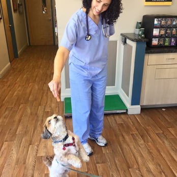 Bensonhurst Veterinary Care - Veterinarians Near Me - Brooklyn, New York