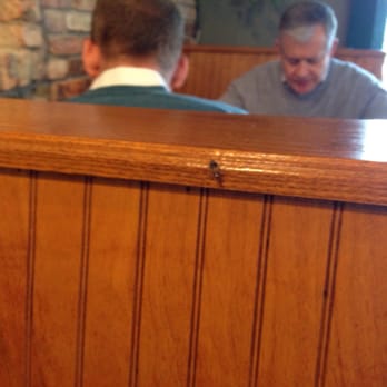 Gazeebo Burgers - Cockroach on back of booth bench. - Burgers Near Me - Dallas, Texas