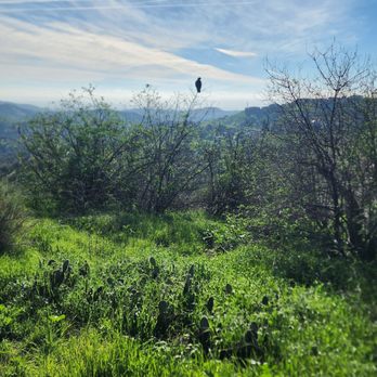 Weir Canyon Trailhead - Beautiful December day. Smile at the birdie! - Hiking Near Me - Anaheim, California